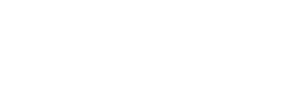 Camille Celse